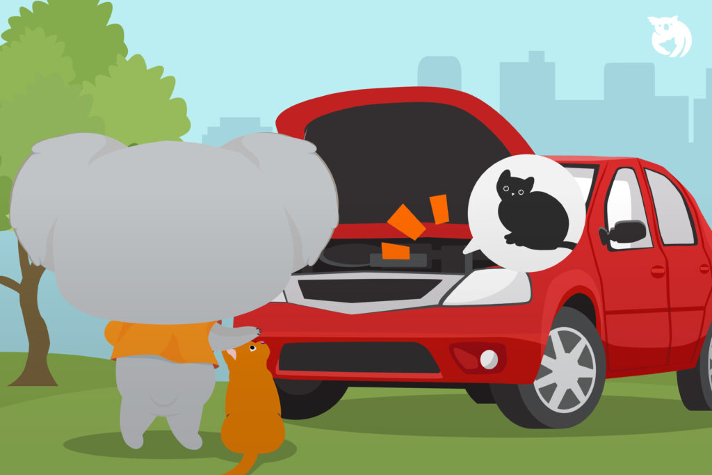 Using Oyen to Remove a Cat Inside Car Engine? Pesan By Qoala