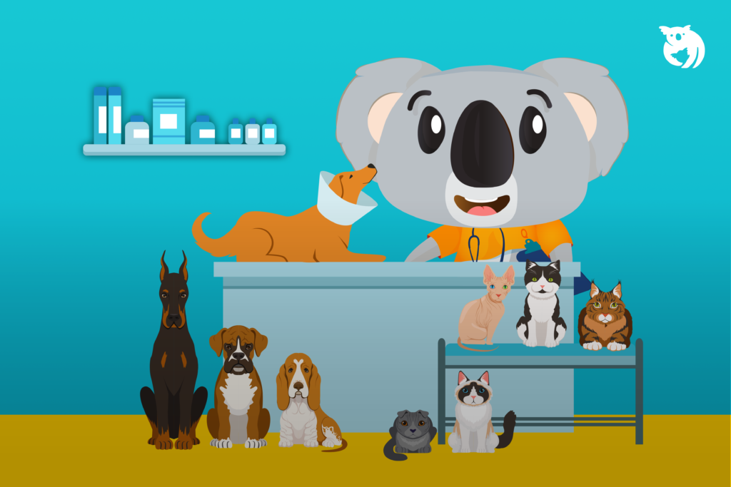 Should You Get Pet Insurance in Malaysia? - Pesan By Qoala