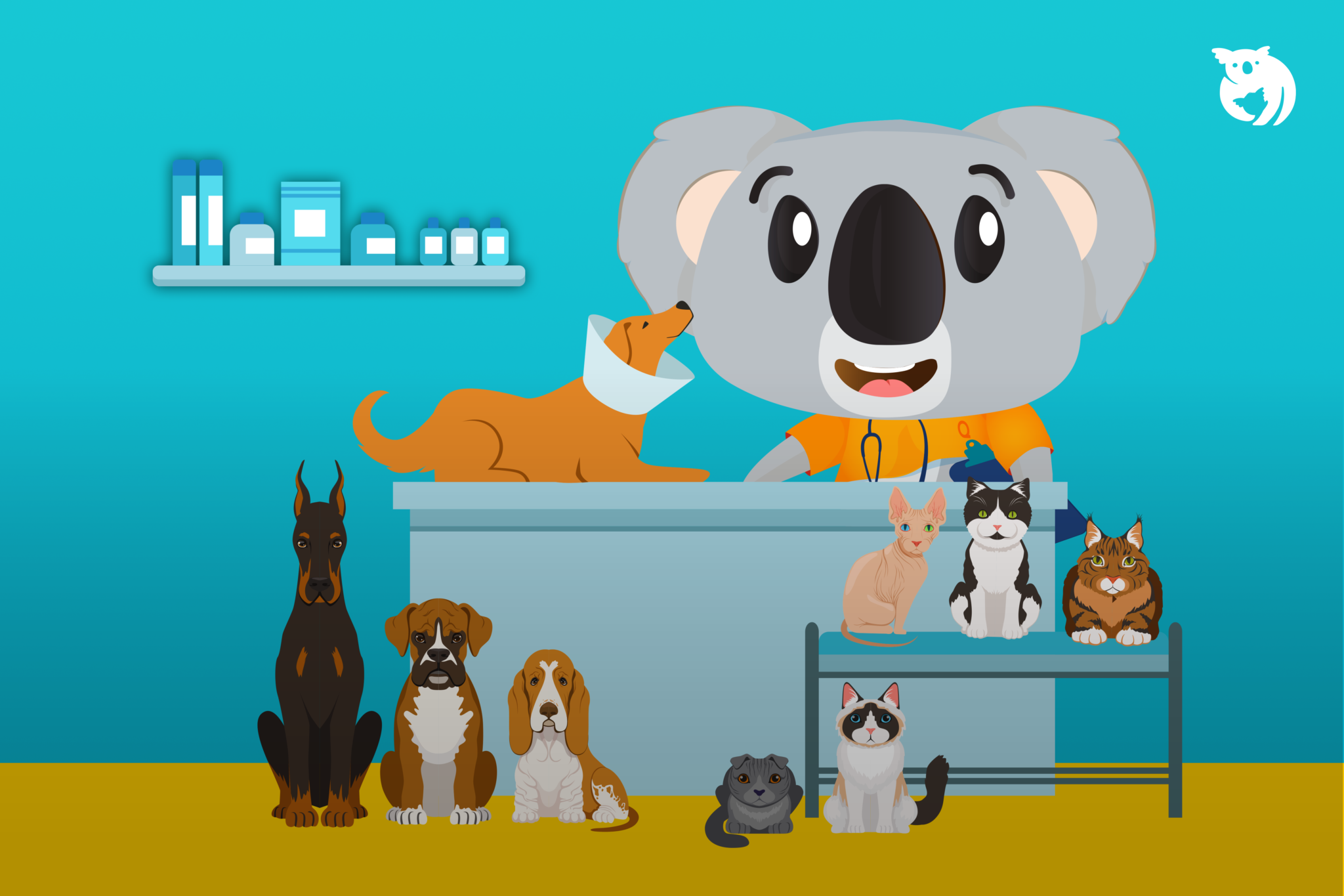 Should You Get Pet Insurance in Malaysia? - Pesan By Qoala